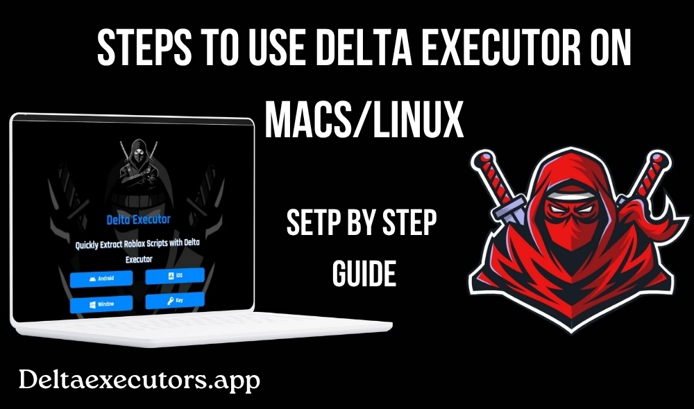How to Use Delta Executor
